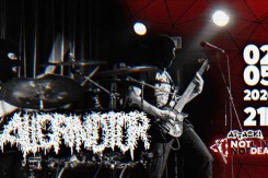 aligrindtor.jpg