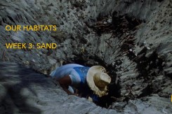 banner_pjesak.jpg