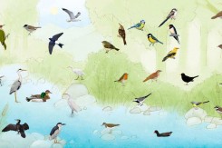 Foto:coneixelriu.museudelter.cat