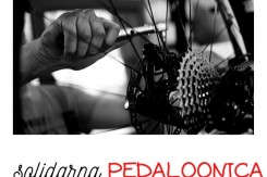 solidarna_pedaloonica.jpg