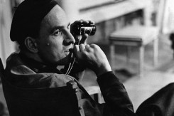 bergman_tuskanac.jpg