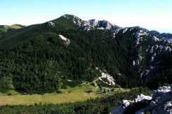 np_sjeverni_velebit_2_mzoe.jpg