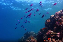ocean_ytb_copy57429.jpg