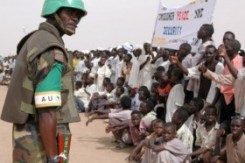sudan_rat.jpg
