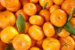 mandarina.jpg