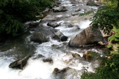 rijeka_priroda_voda_suma_fojnica_mk_copy21238.jpg