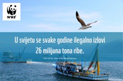 wwf_ribe.jpg