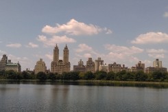new_york_pescanik.jpg