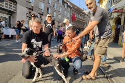 D. Skok, S. Labrović, Z. Turalija i pas Mike