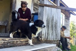 Pas Bobi najveća je radost Milje i Miloša Jandrića.