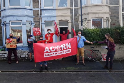 acorn2.jpg