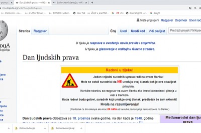 wiki_1.jpg