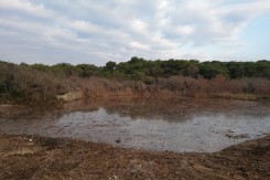 Sakarun poslije obnove