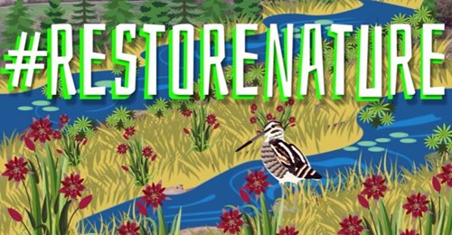restore_nature_biom.jpg