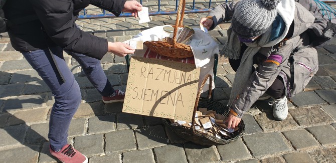 sabor_sjeme.jpg