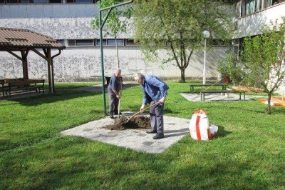 Vrt Neuropsihijatrijske bolnice u Popovači, Foto: Udruga<br>